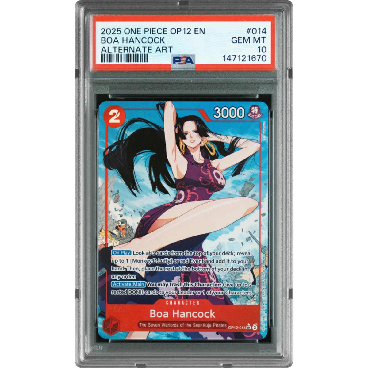 One Piece Day: PSA 10 | Courtyard.io